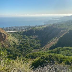 Meet your Posher, Dane